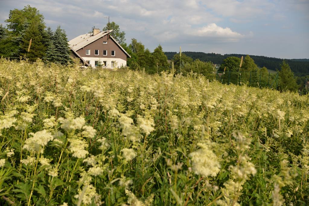 Penzion Kovářská Eksteriør bilde